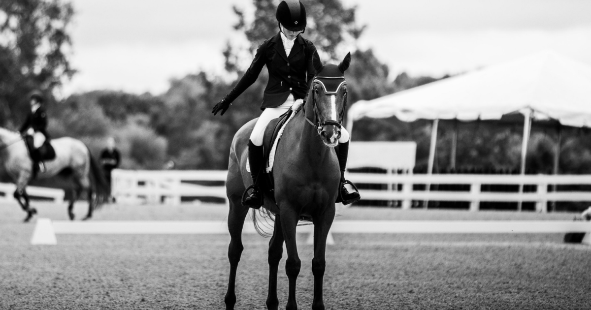 2022 USEF Eventing Dressage Tests Available Now!