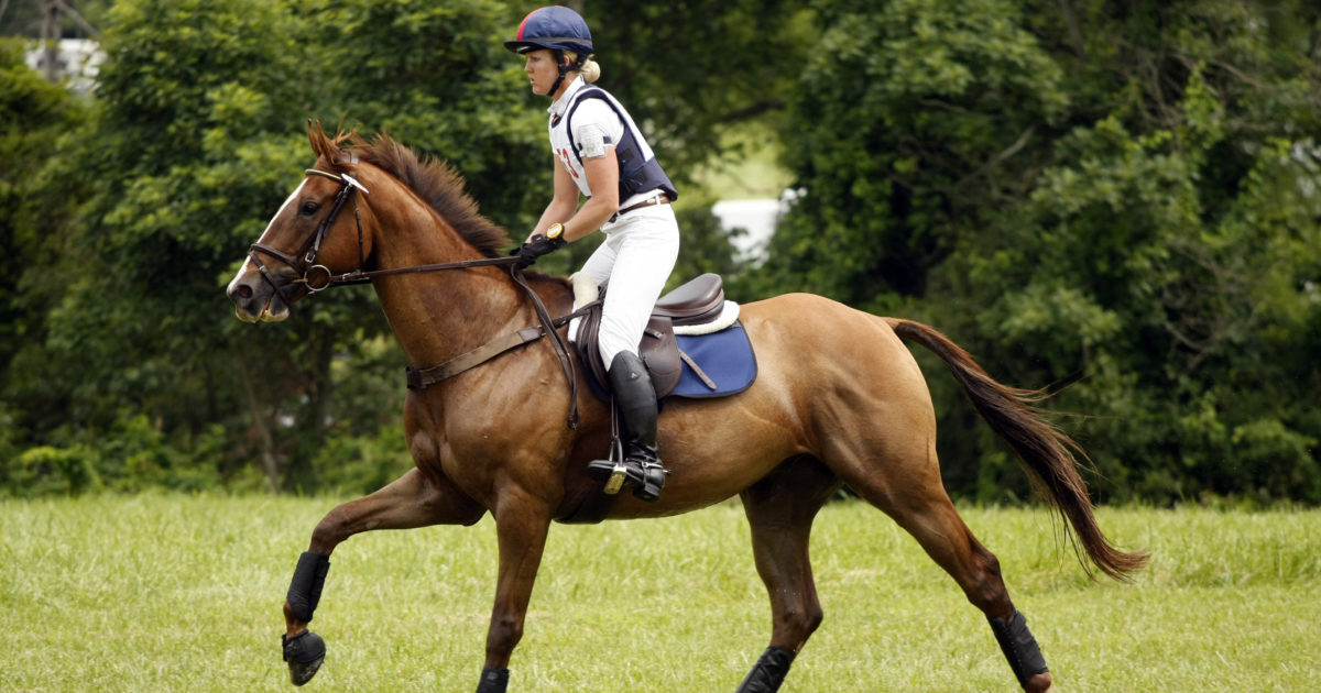 Key Steps to Safe Cross-Country Riding, Part Three: Stride Length ...