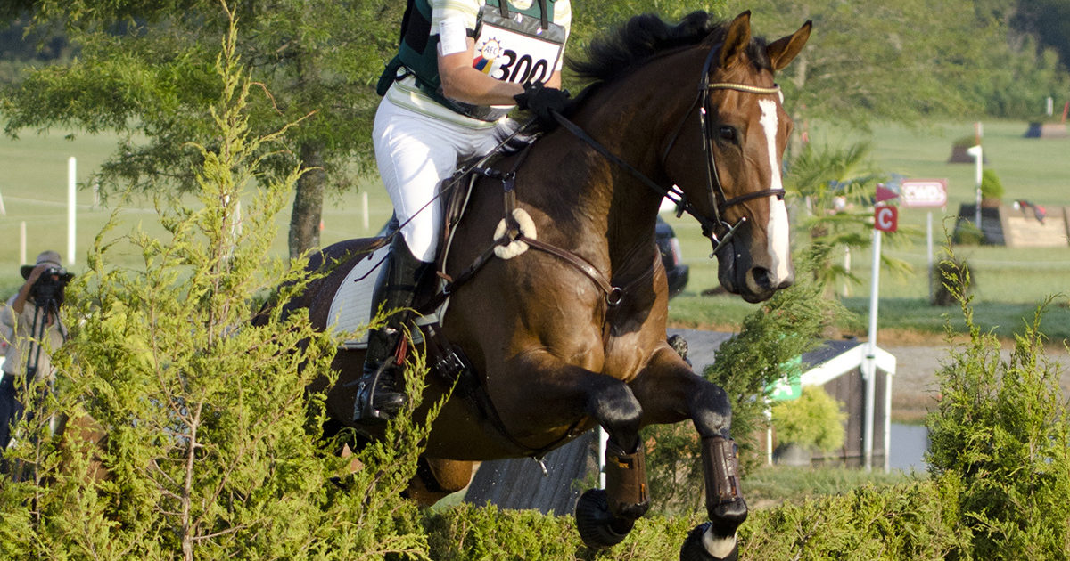 On Rules, Course Design, And Growing The Sport Of Eventing