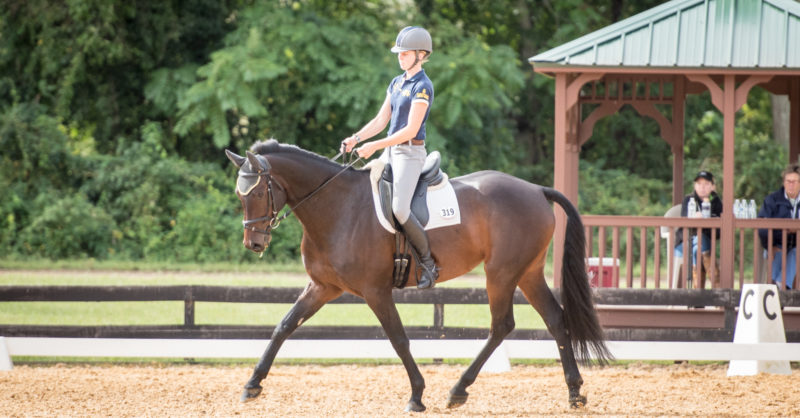 Eventing Tests Introduce Riders To The Sport