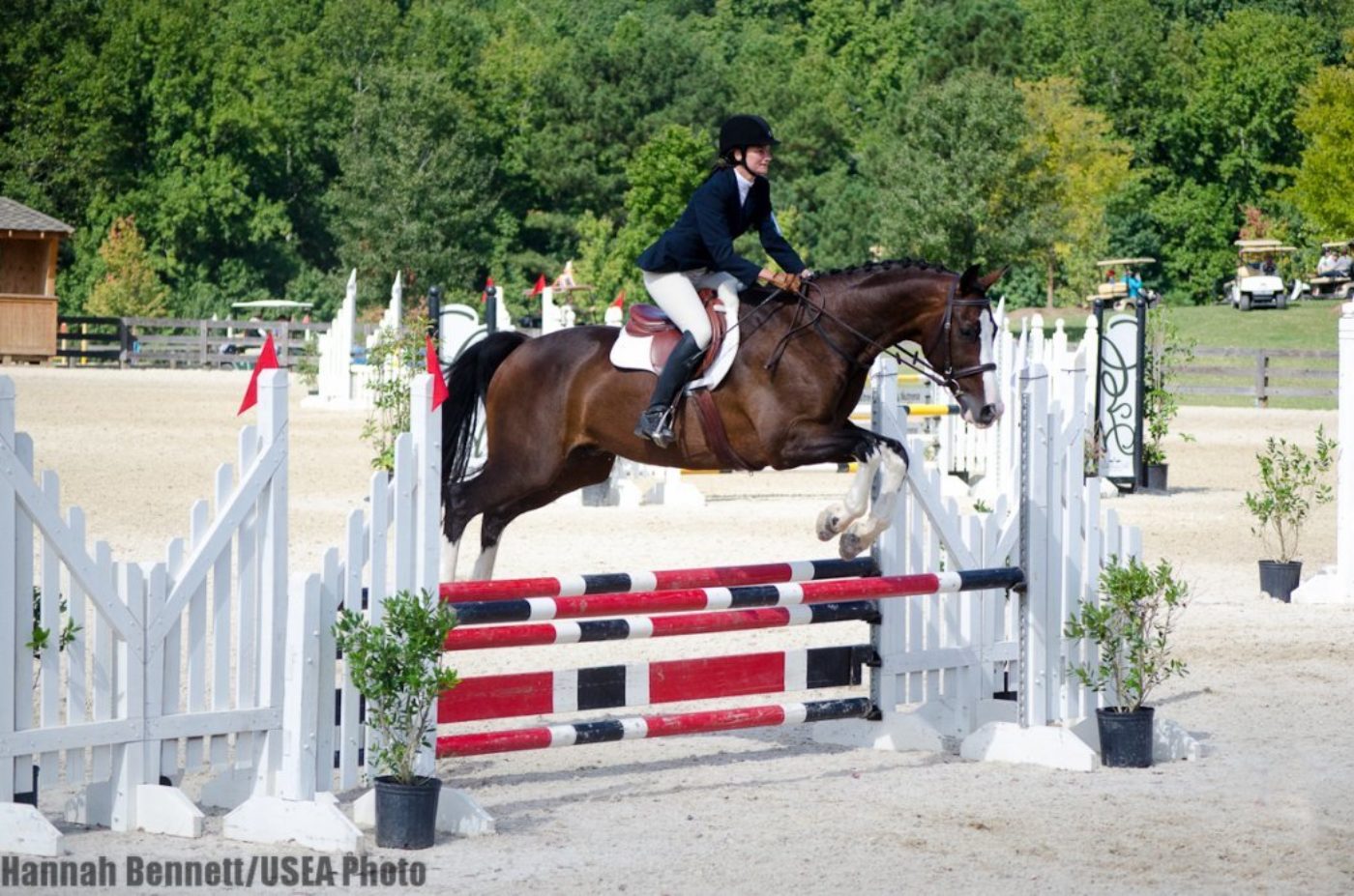 2012 Nutrena USEA AEC Novice and Beginner Novice Amateur Show Jumping ...