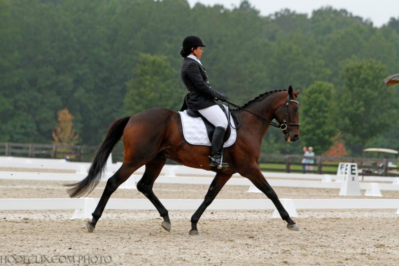 2012 Nutrena USEA AEC Training and Preliminary Dressage Winners - USEA ...