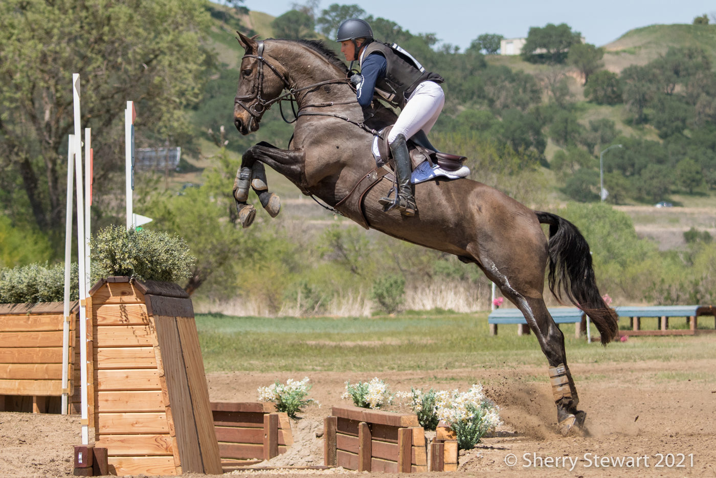 CCI4*-L - 3rd - Bec Braitling and Caravaggio. Sherry Stewart Photo.