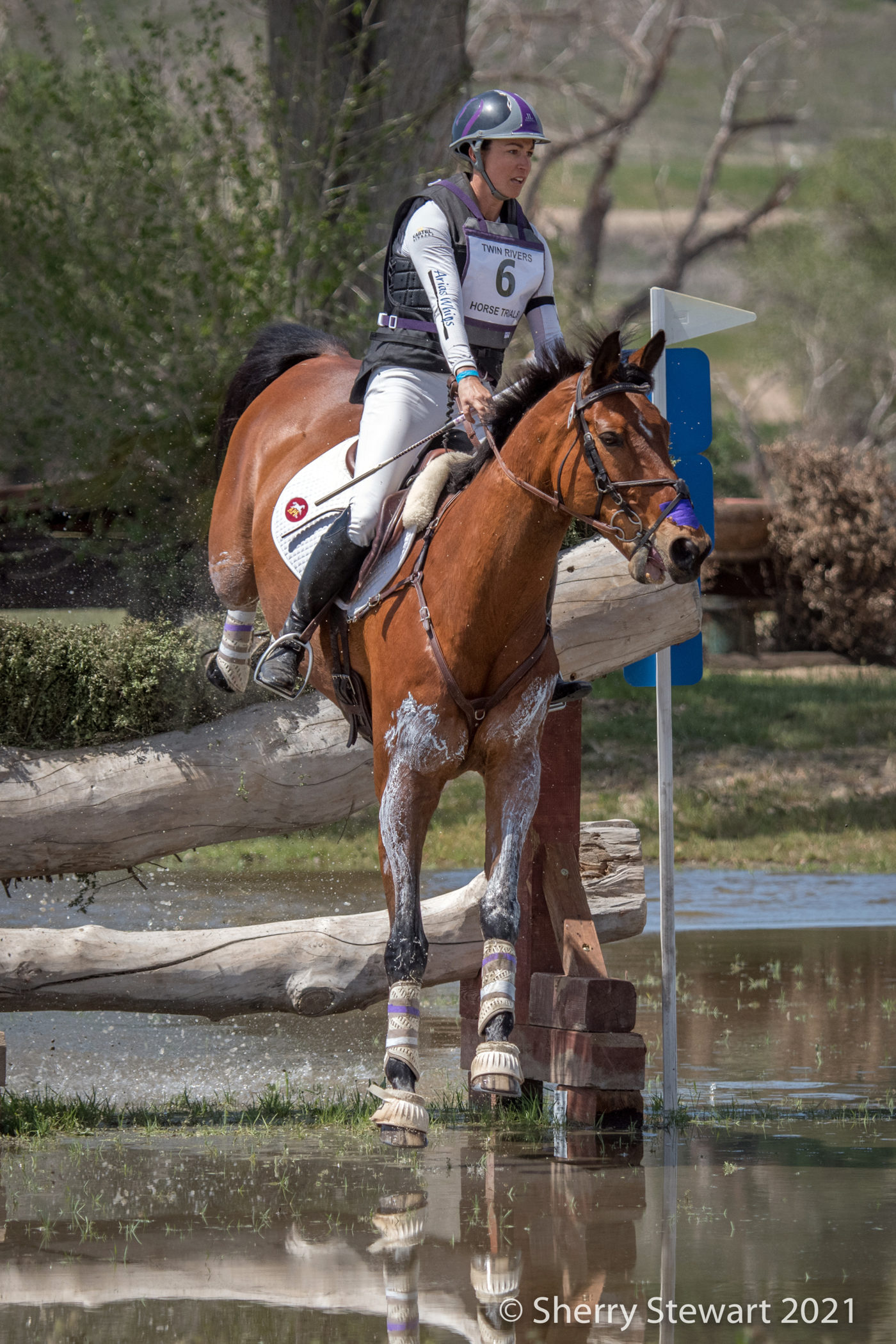 CCI4*-S - 2nd - Lauren LoPiccolo and Diego. Sherry Stewart Photo.