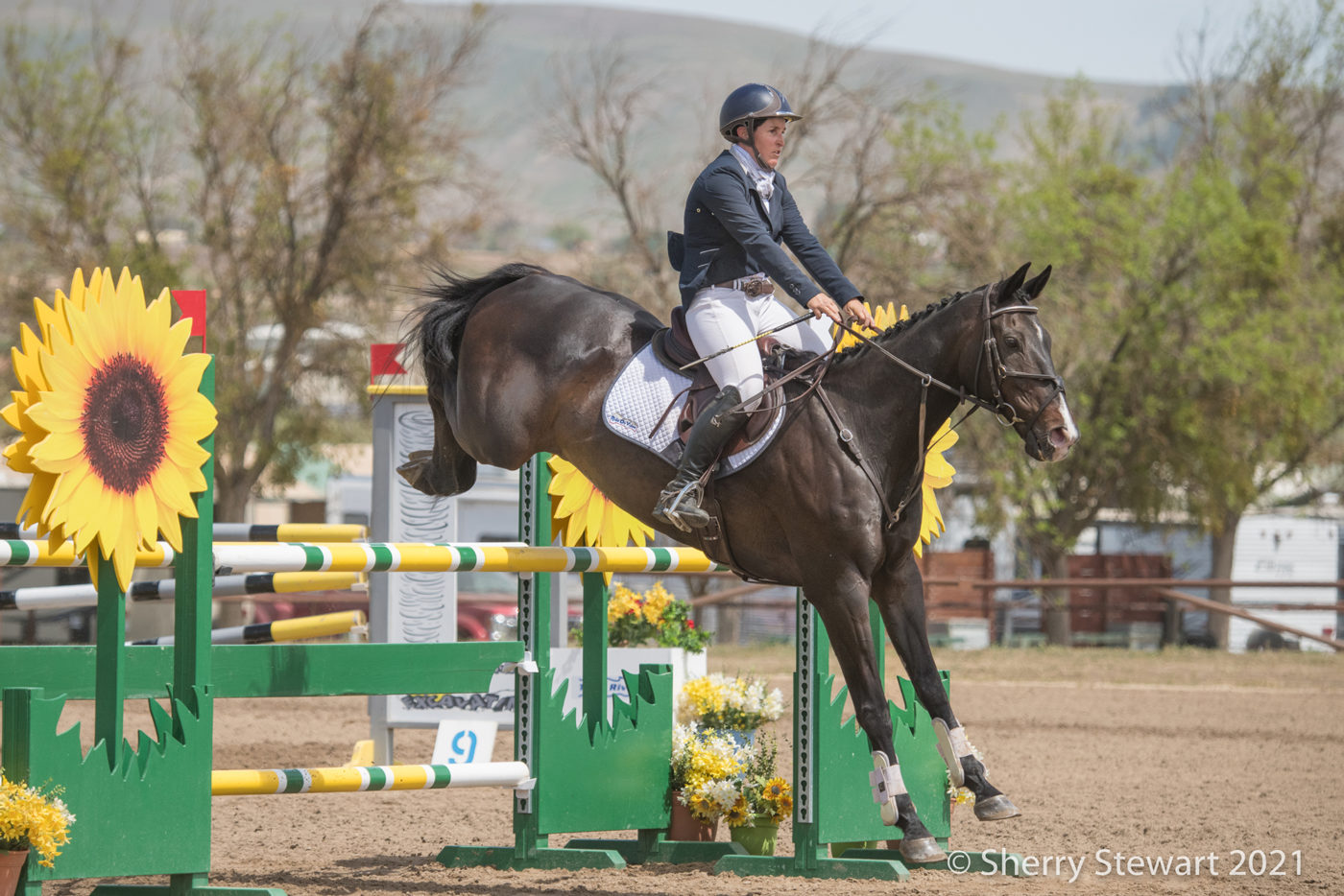 CCI3*-L - 2nd - Alessandra Allen-Shinn and Fool Me Once. Sherry Stewart Photo.