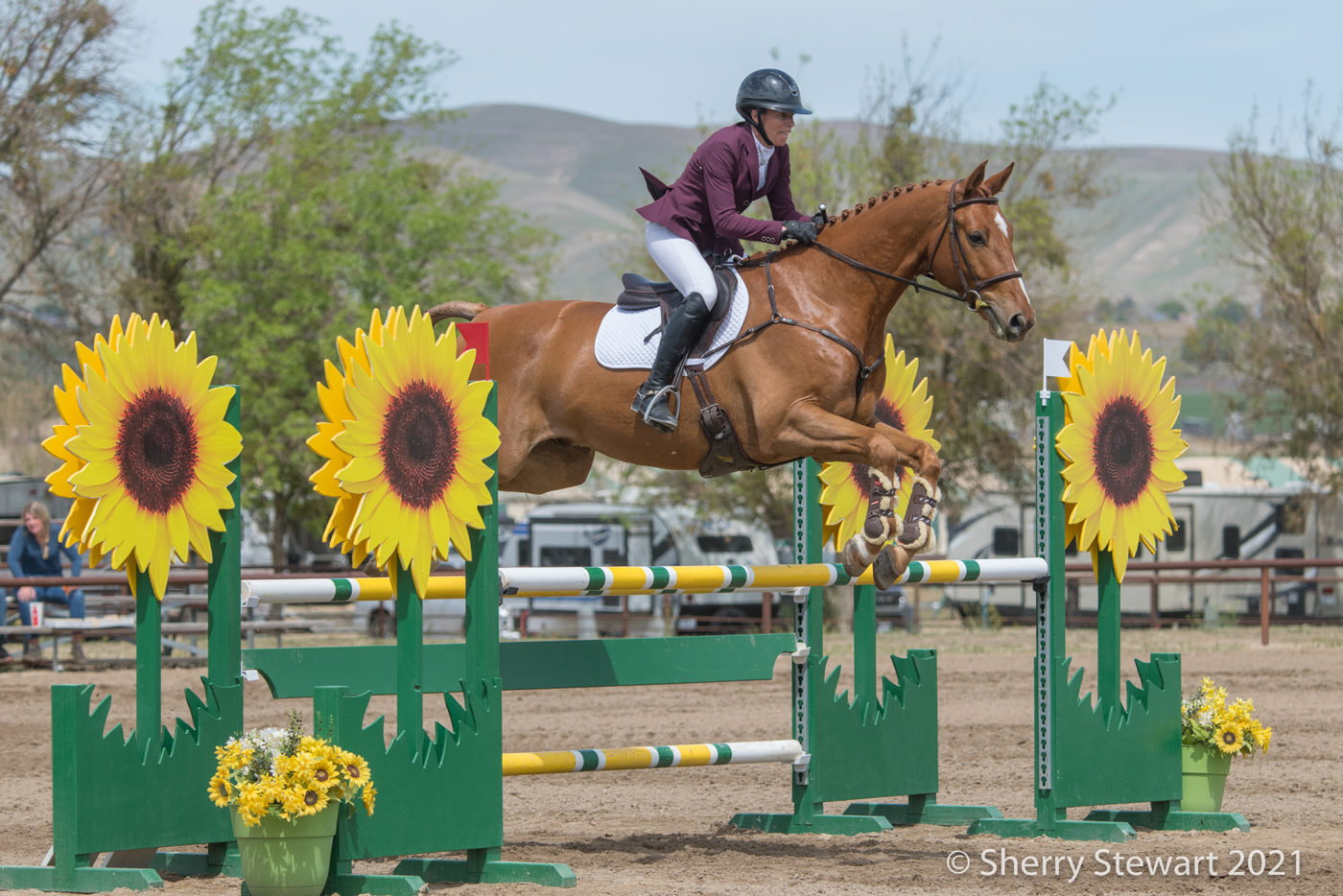 CCI2*-L - 3rd - Marissa Nielsen and Global Absolute. Sherry Stewart Photo.