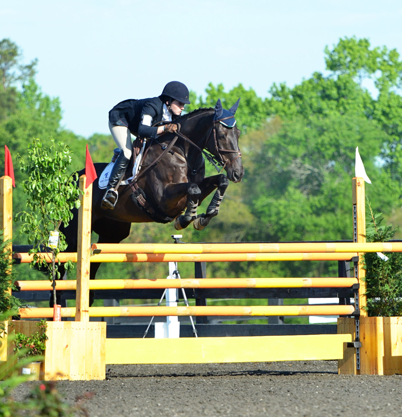 2012 The Fork Advanced A Show Jumping - USEA, United States Eventing ...