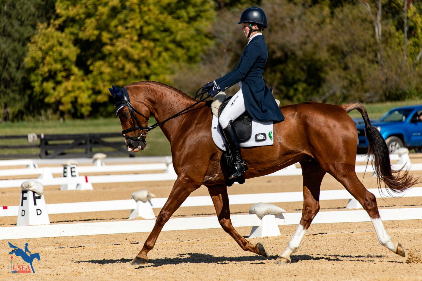 Allie Knowled and Business Class. USEA/ Shanyn Fiske photo