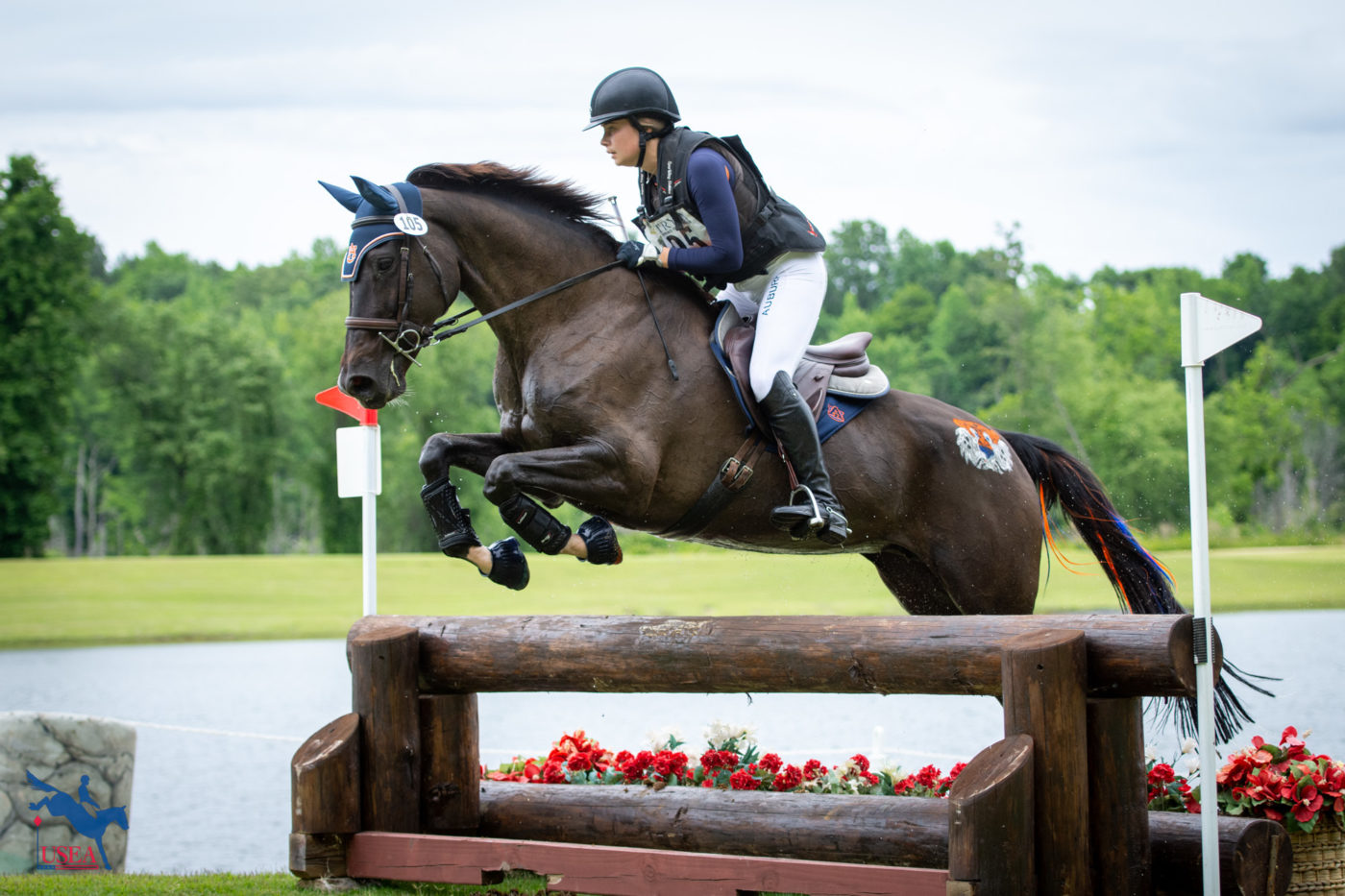 Brinley Von Herbulis and Air Apparent competed for Auburn. USEA/Shelby Allen photo