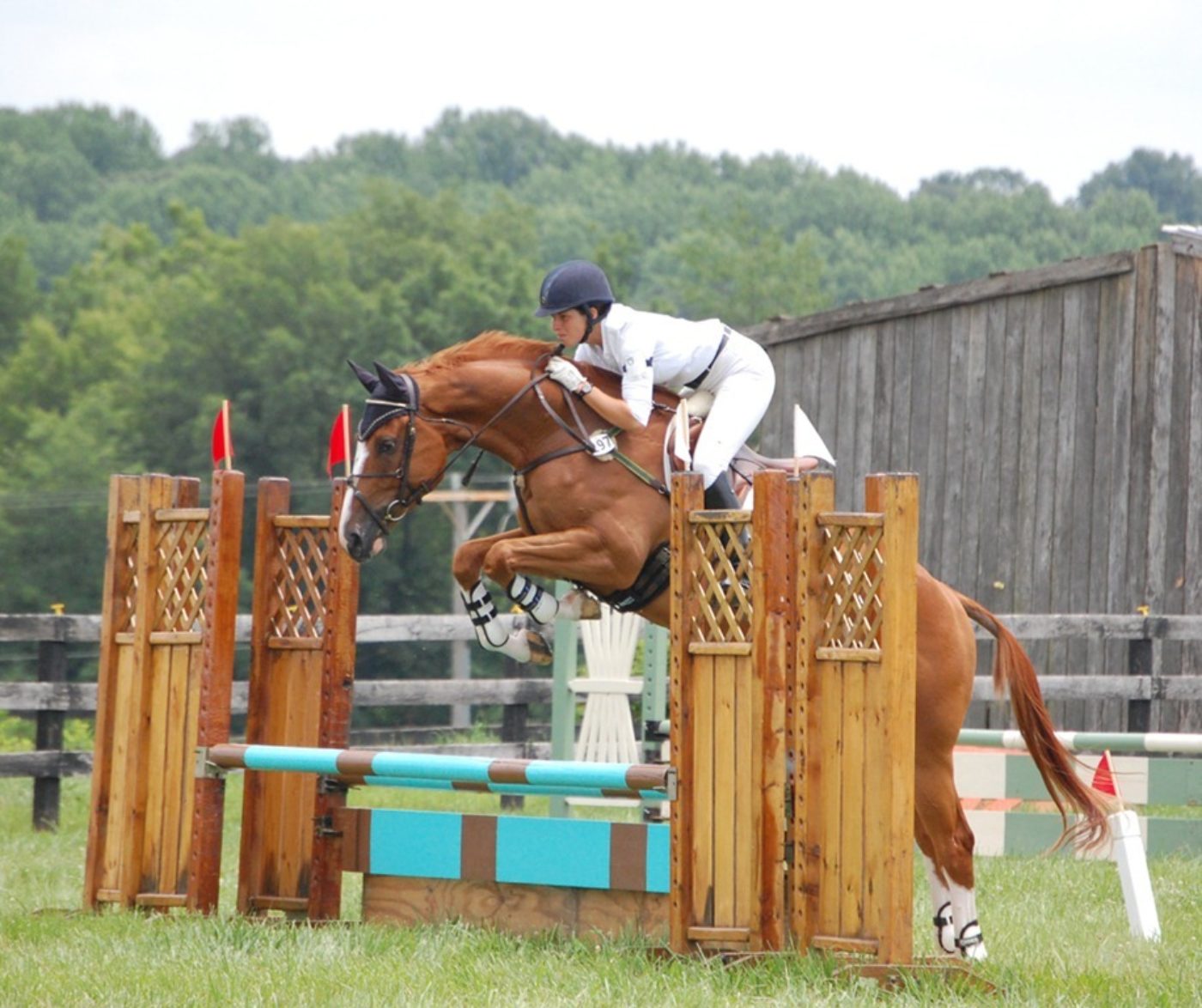 Meghan O’Donaghue piloted Cedric to a second place finish in his very first Horse Trials.