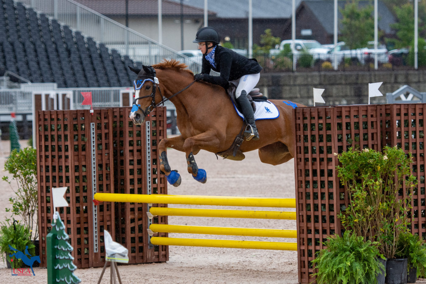 Claire Gamlin and Alohomora rode for UK. USEA/Shelby Allen photo
