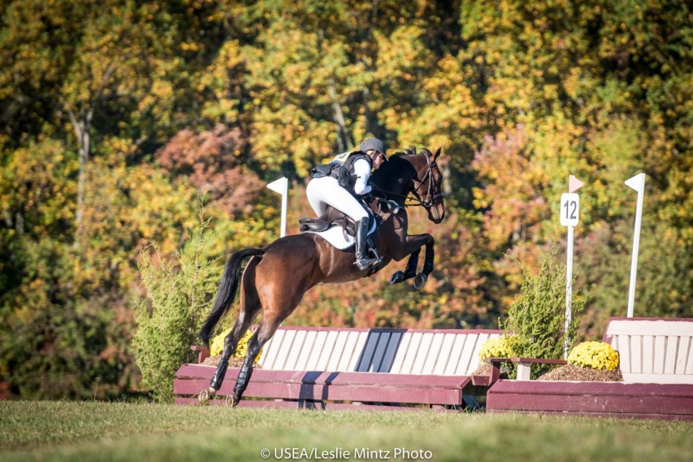 2015 YEH East Coast Championships 4-year-old Jumping - USEA, United ...