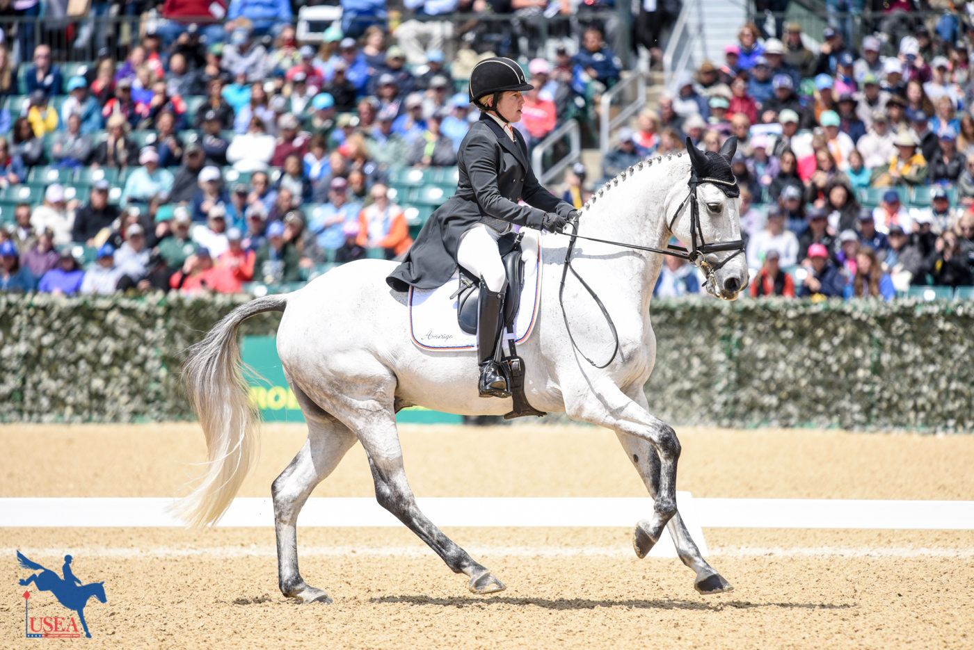 31stT - Sharon White & Cooley On Show - 39.6