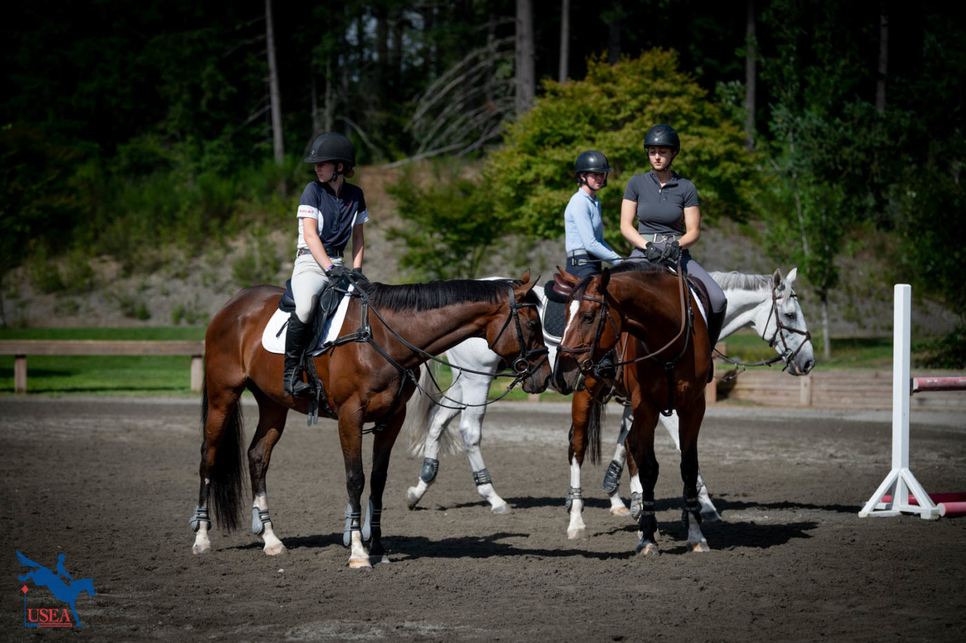 The horses are getting to know each other too. USEA/Olivia Airhart Photo