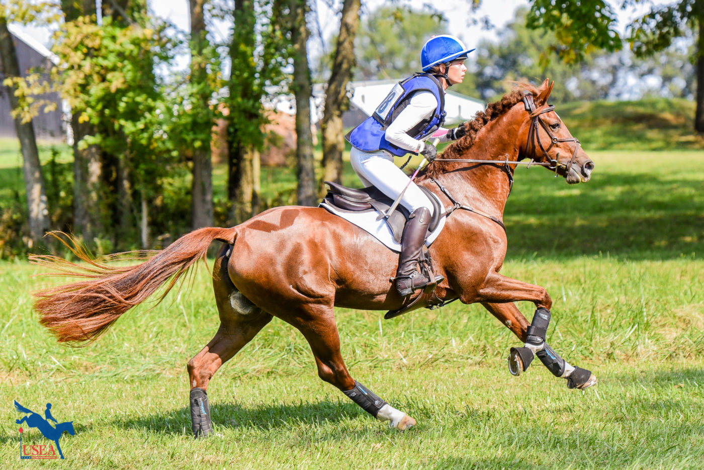 There's something about a chestnut's coat shining like a copper penny! USEA/Leslie Mintz Photo.