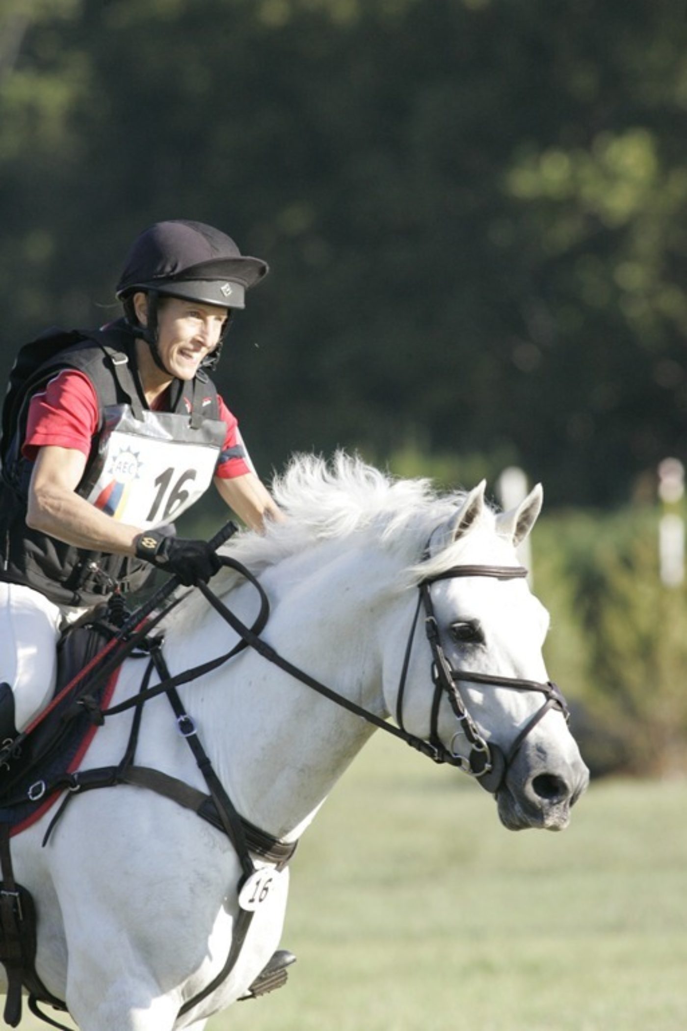 PHOTO GALLERY: Nutrena/USEA AEC Intermediate XC