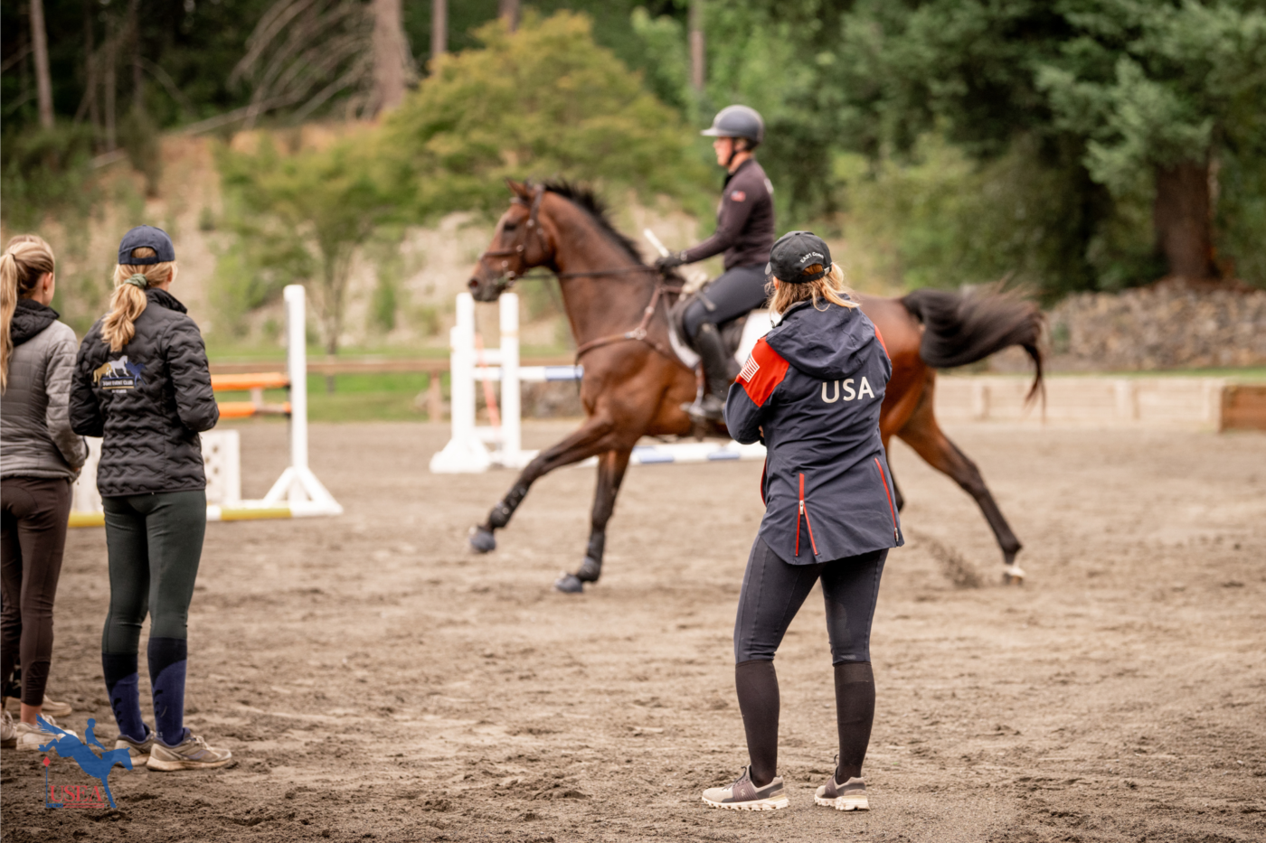 Endurance riding a test of strength for horse and rider - Equestrian Hub