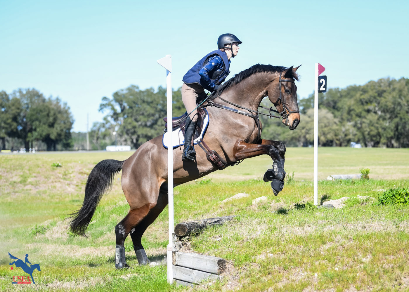 Robyn Harter and Gold To Blue Monteverdi rode over Training level fences. USEA/Lindsay Berreth photo