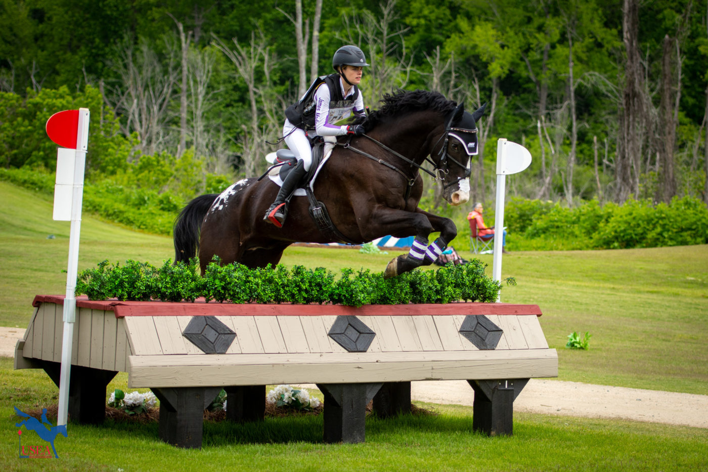 Elise Bell and FAE Salty Dog jumped well for James Madison University. USEA/Shelby Allen photo