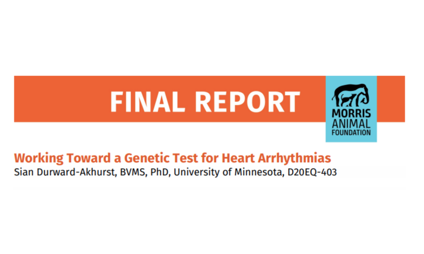 Working Toward a Genetic Test for Heart Arrhythmias