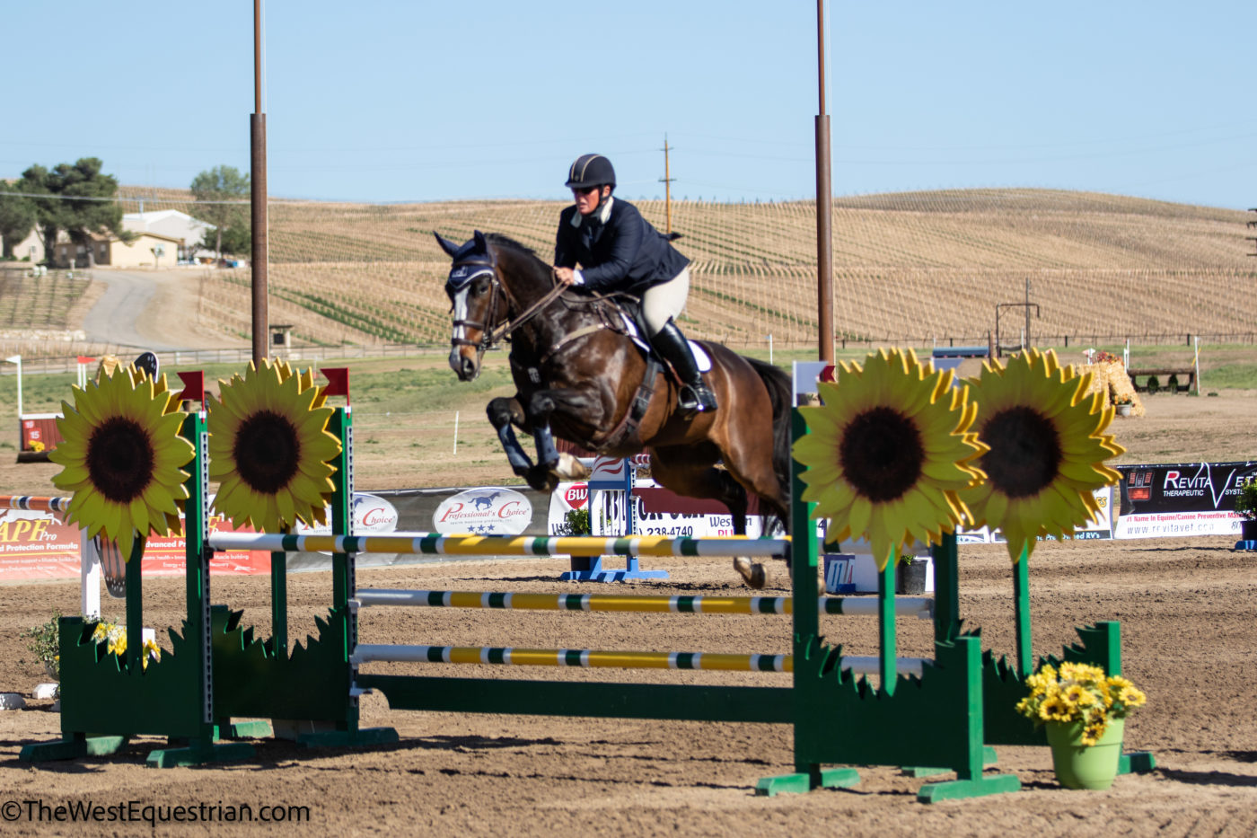 CCI3*-S - 3rd - Gina Economou and Cooley By Design. TheWestEquestrian.com Photo.