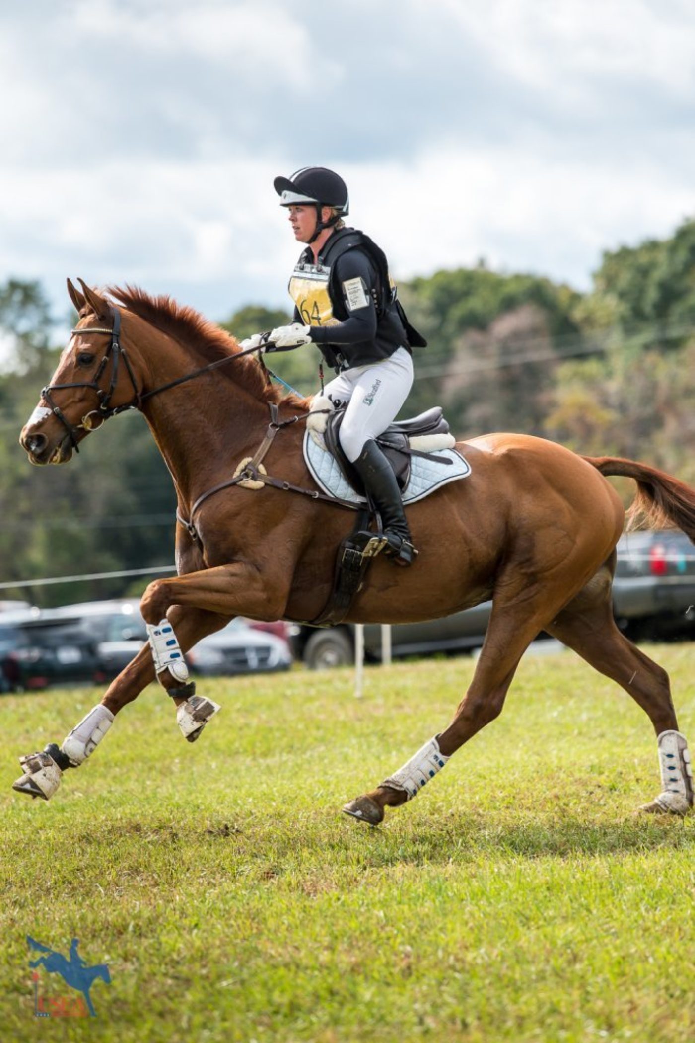 Anna Loschiavo and Spartacus Q moving quickly across the country. USEA/Jessica Duffy Photo.