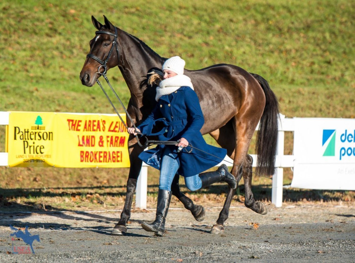 Perfectly in sync at the final horse inspection. USEA/Jessica Duffy Photo.