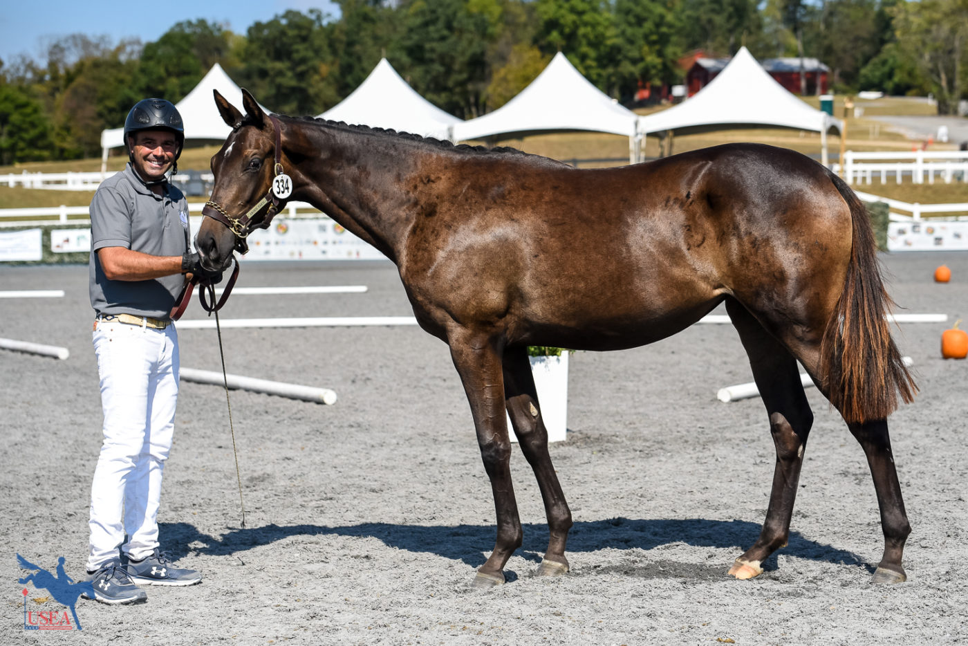 Yearling 1st - Arden Nike - 85.30