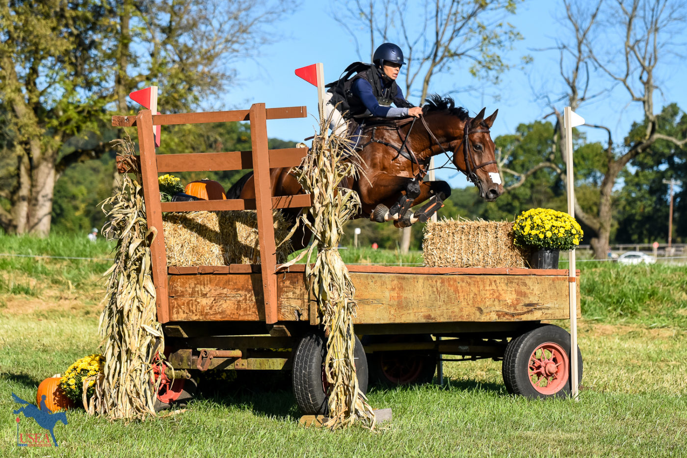 Courses were beautifully decorated with fall-themed decorations. USEA/Jessica Duffy Photo.