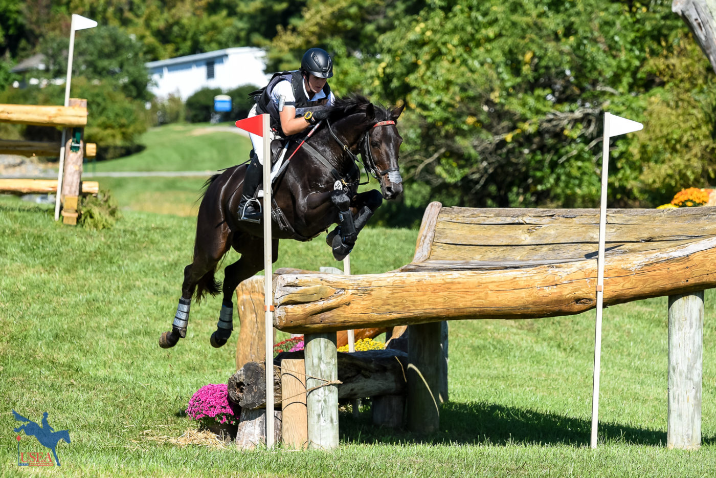 Ema Klugman and her longtime partner Bendigo moved up from 20th place to seventh place with the fastest cross-country round of the day in the Advanced divisions. USEA/Jessica Duffy Photo.