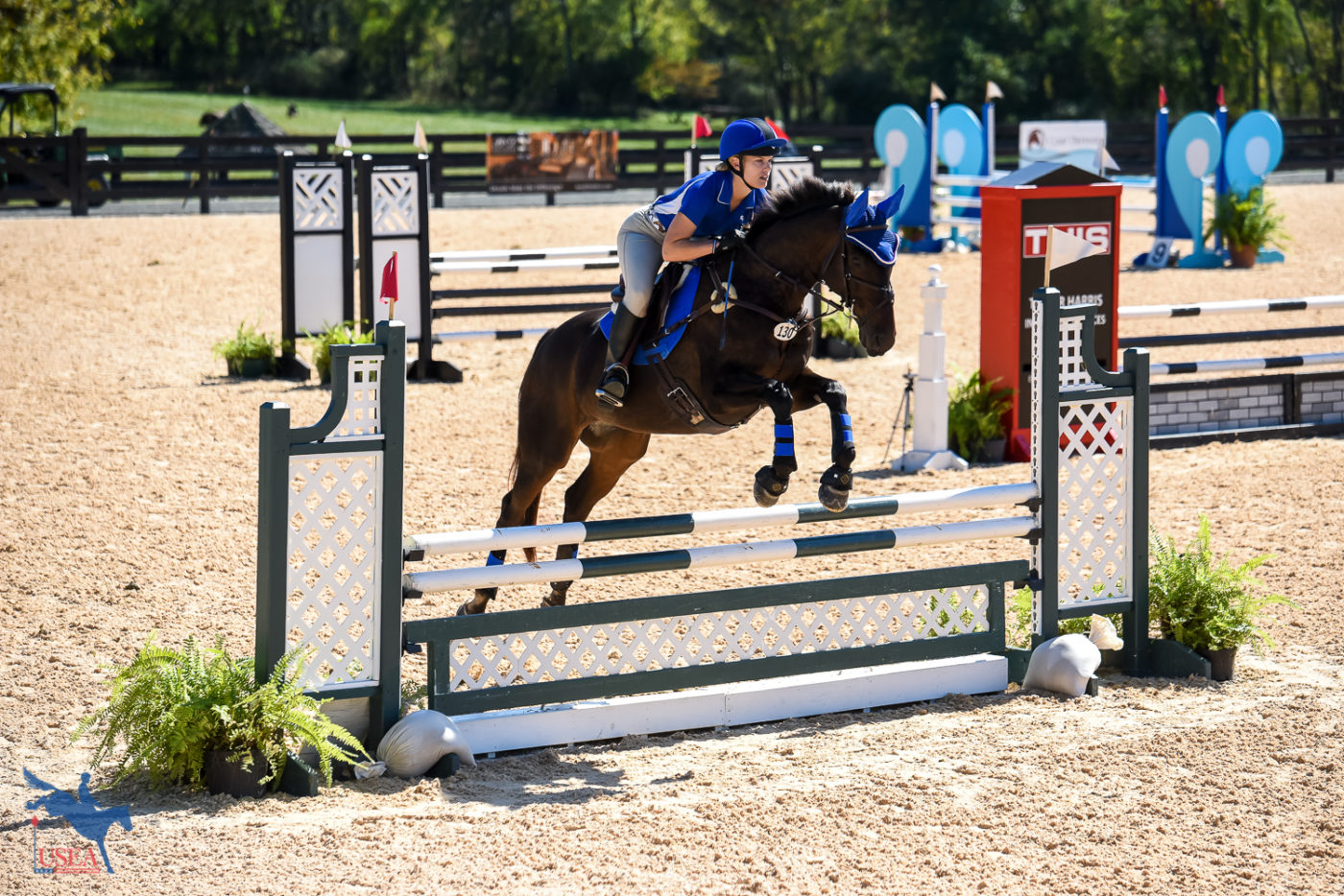 As this one a one-day event for the Training, Preliminary, and Novice riders, many show jumped in their cross-country gear. USEA/Jessica Duffy Photo.