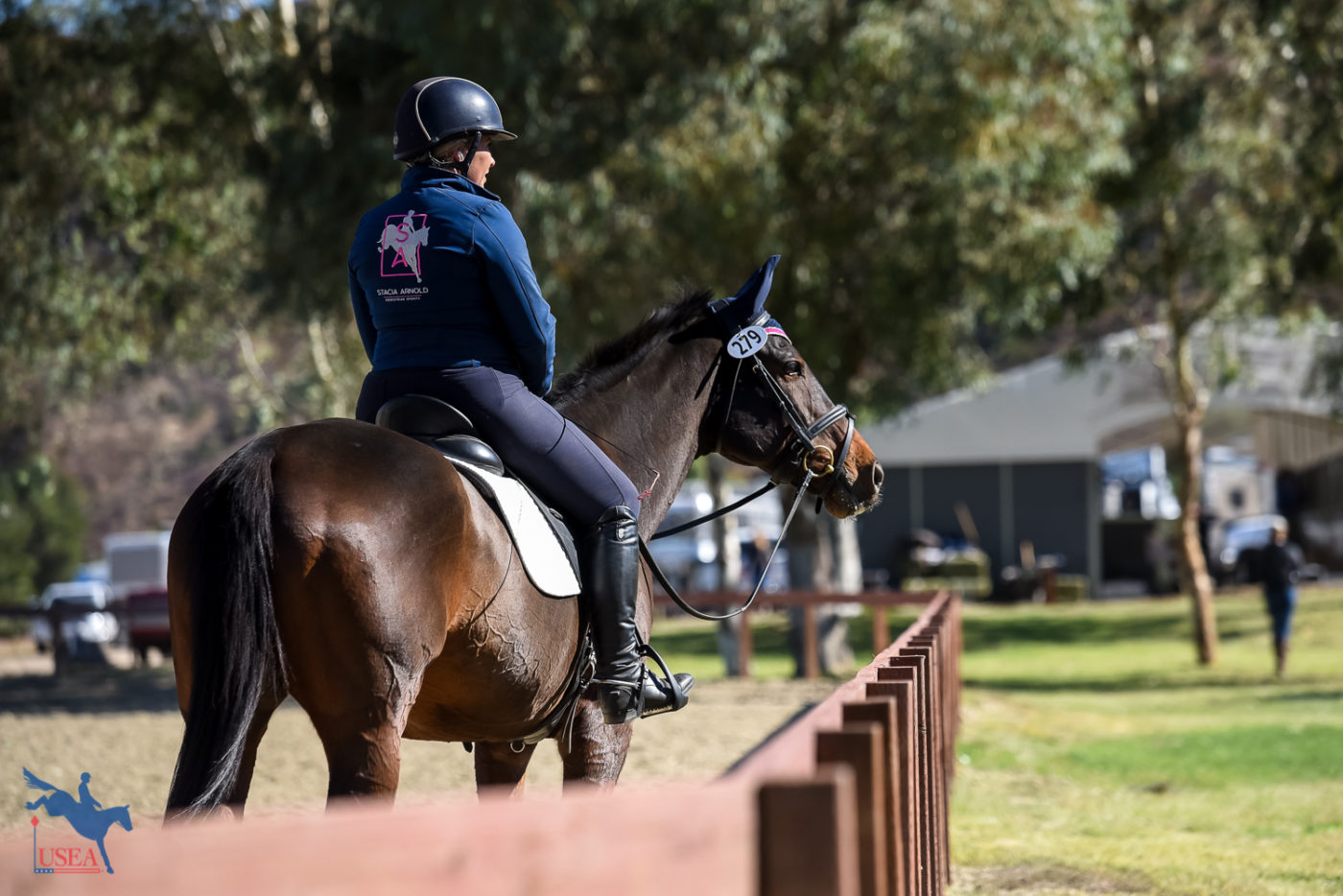 "Hey, what's that over there?" USEA/Jessica Duffy Photo.