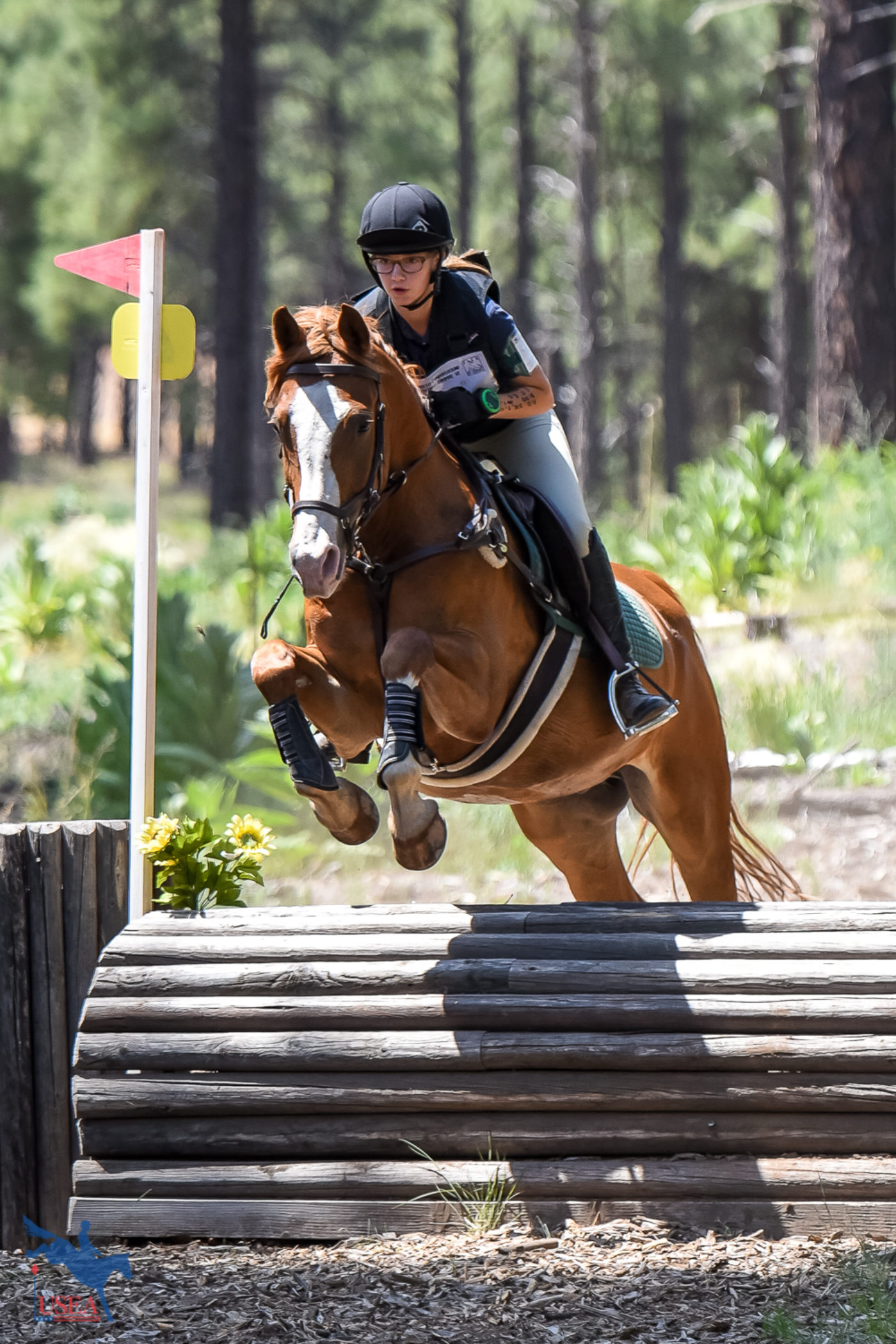 Eyes on the next. USEA/Jessica Duffy Photo.