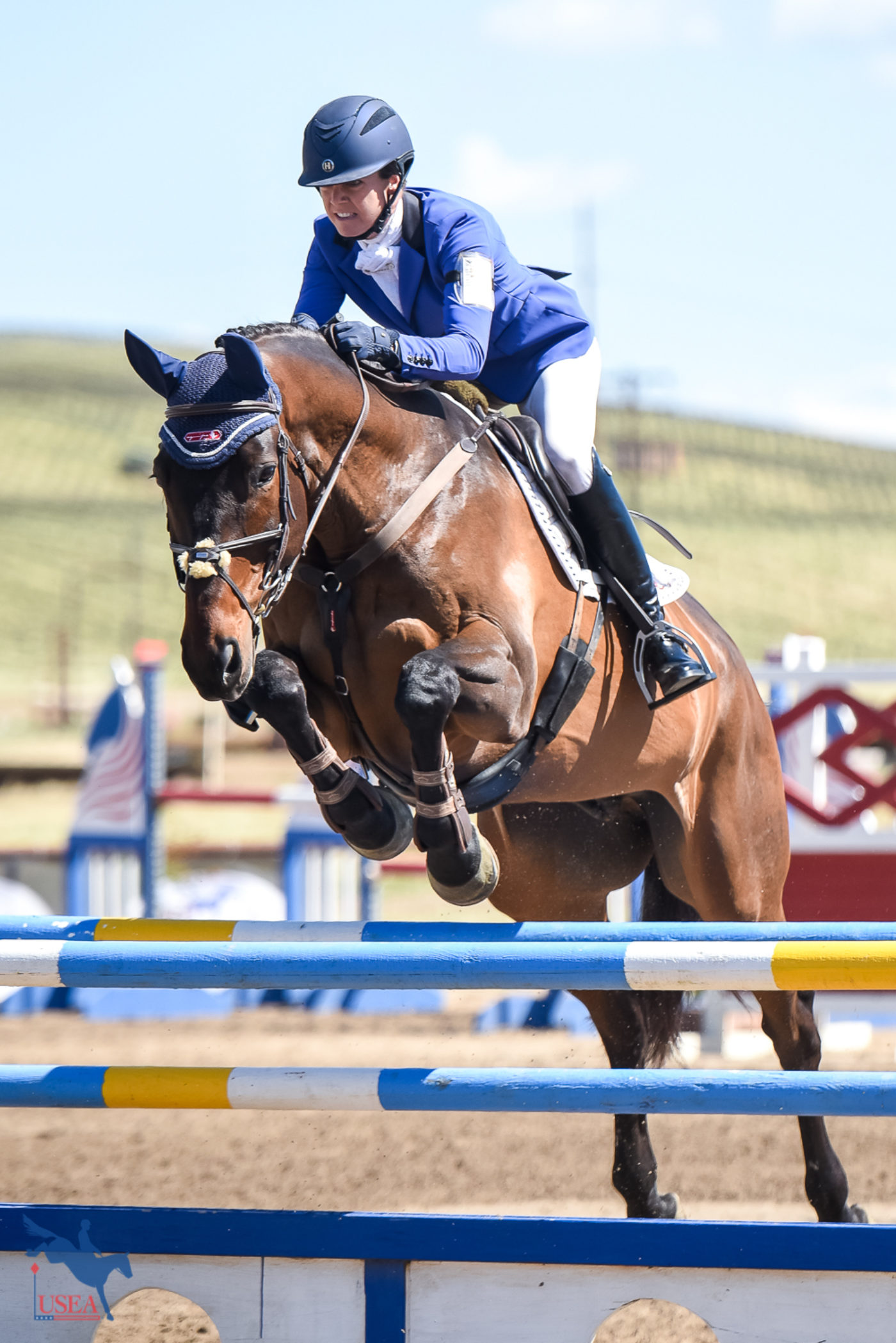 When your coat coordinates with the fence. USEA/Jessica Duffy Photo.