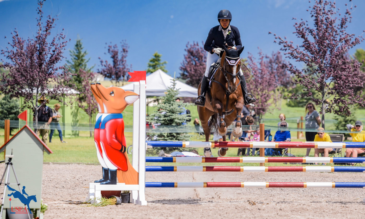 Show Jumping Rules