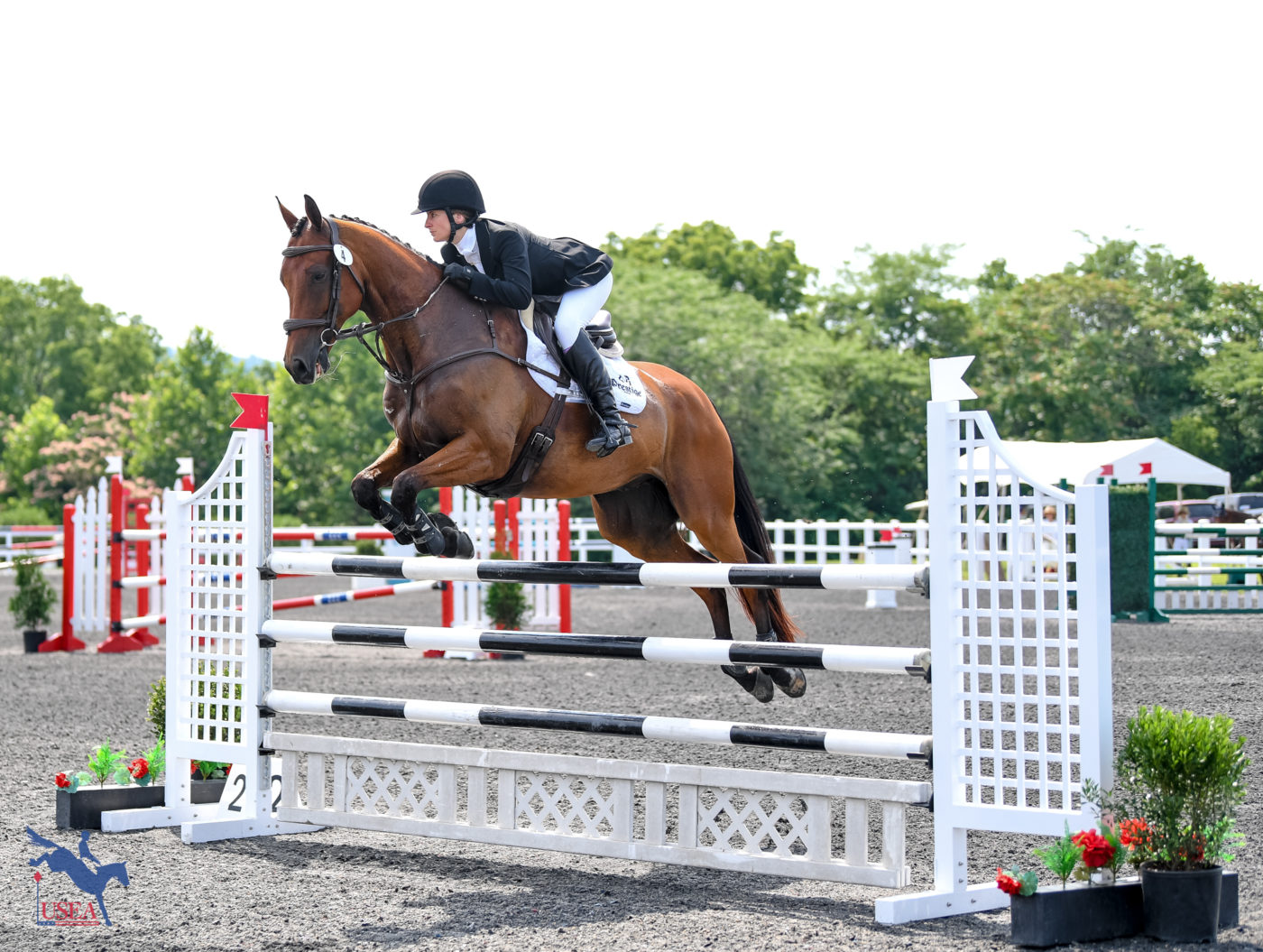 Alexandra MacLeod and Newmarket Jack in are fifth place. USEA/Lindsay Berreth photo