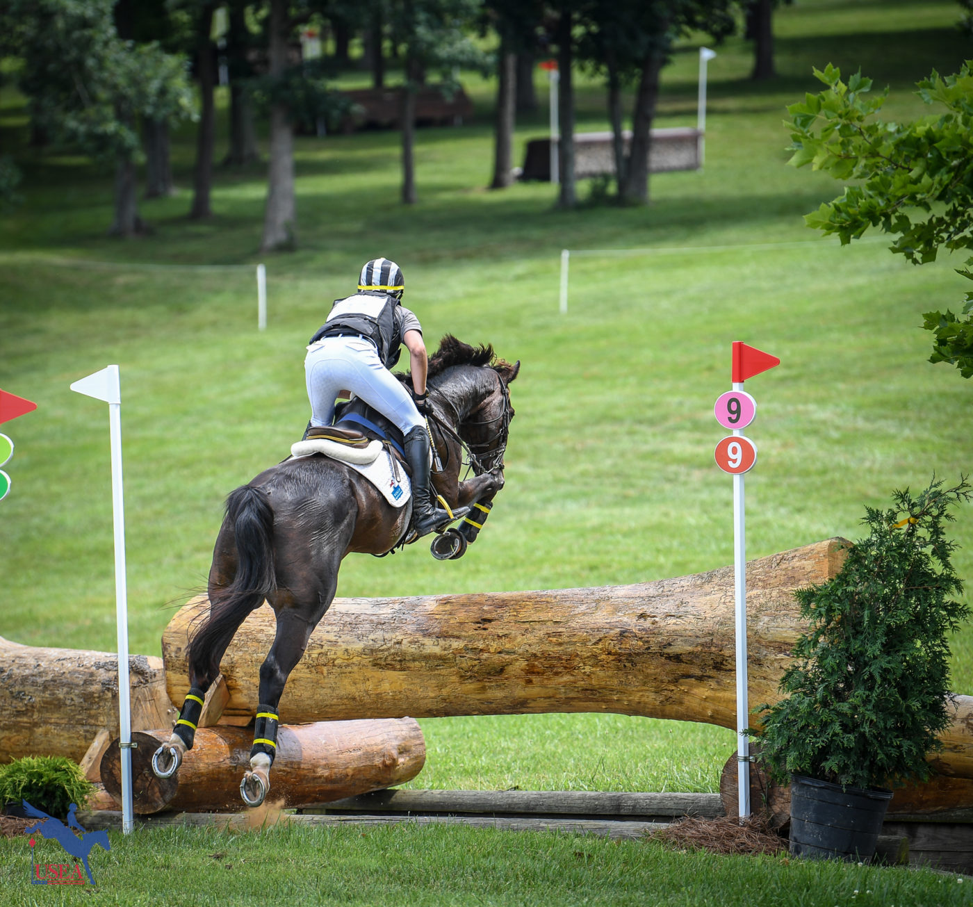 Woods Baughman and C'est La Vie jumped well around the CCI3*-S to finish third. USEA/Lindsay Berreth photo