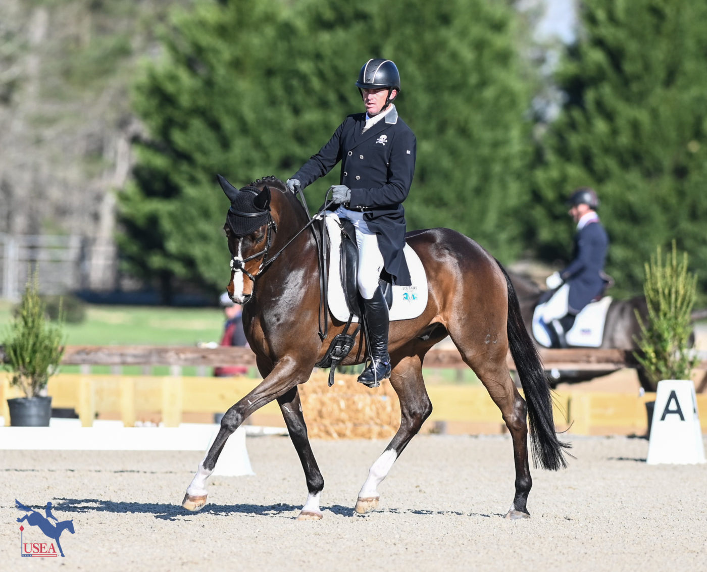 Will Faudree and Mama's Magic Way made a lovely picture in the CCI4*-S. dressage. USEA/Lindsay Berreth photo