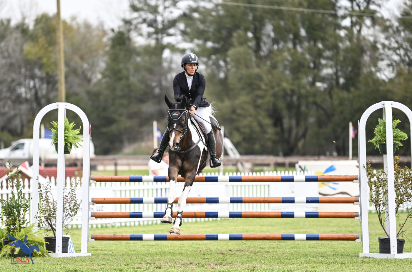 Dana Cooke and the colorful Harlequinn competed in the CCI3*-S. USEA/Lindsay Berreth photo