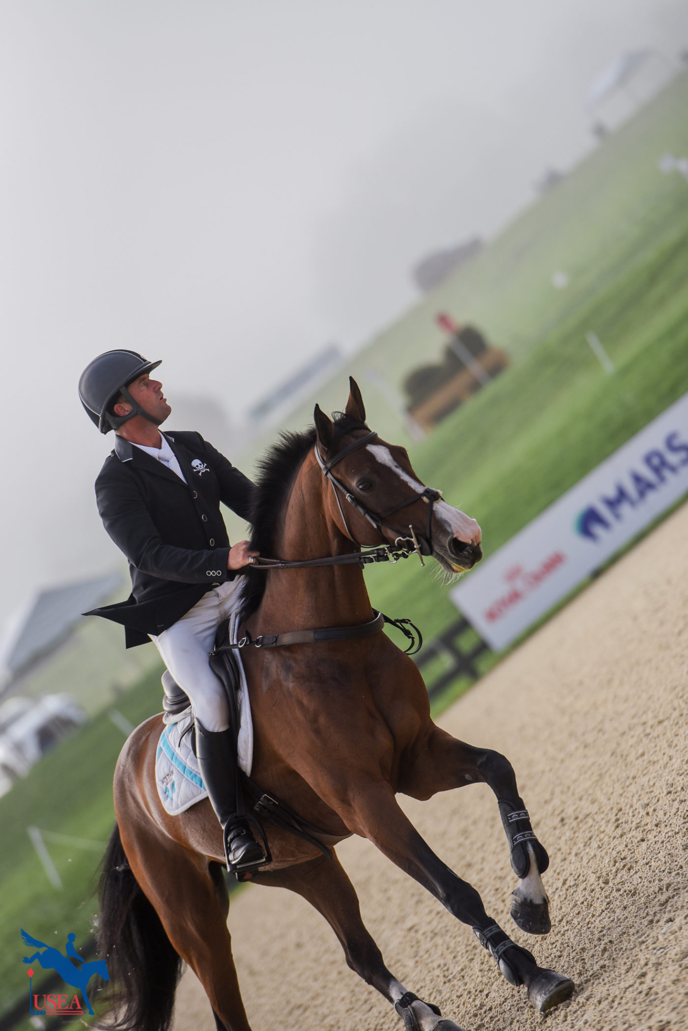 A misty morning of show jumping.