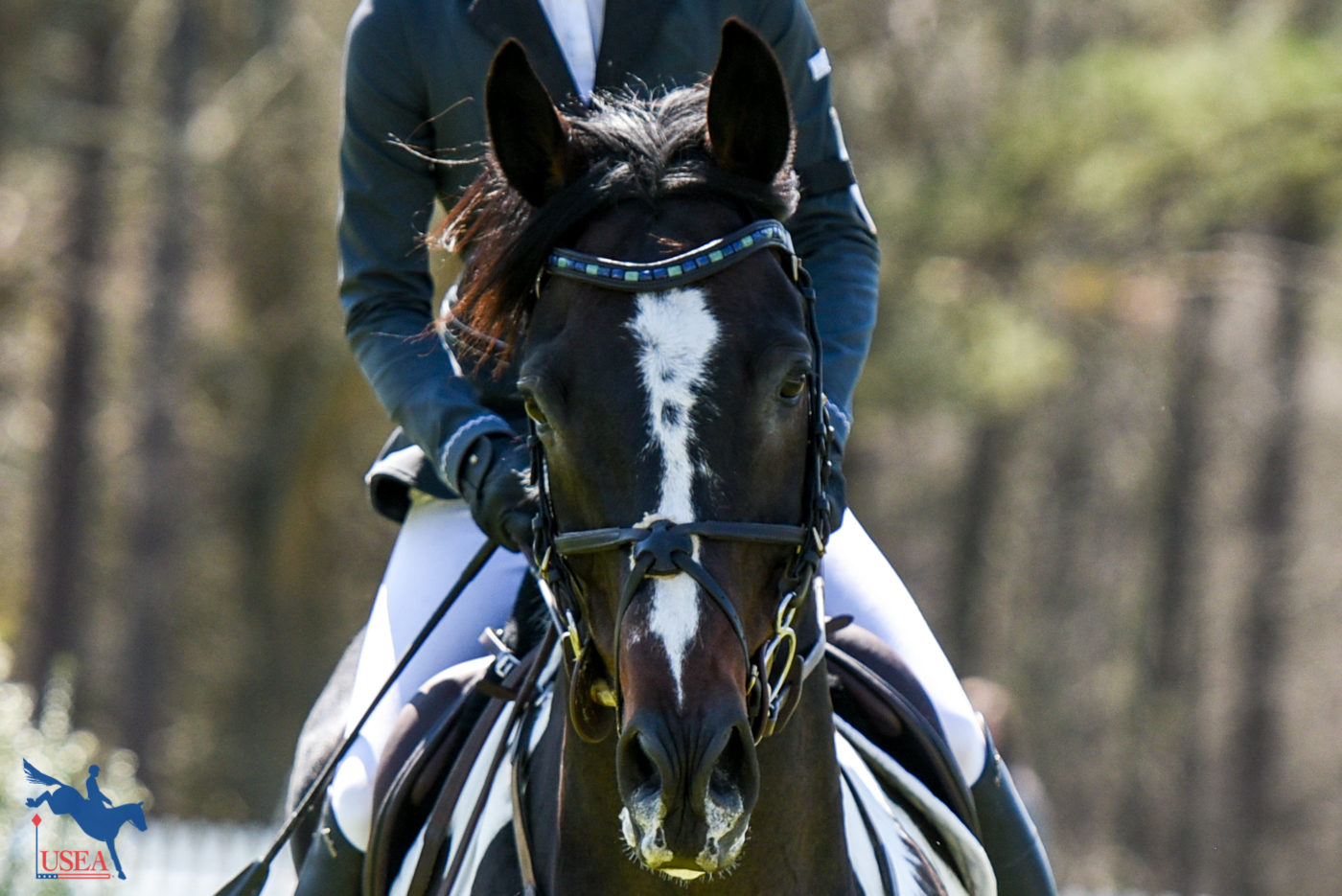How can you not love that face? USEA/Leslie Mintz Photo.
