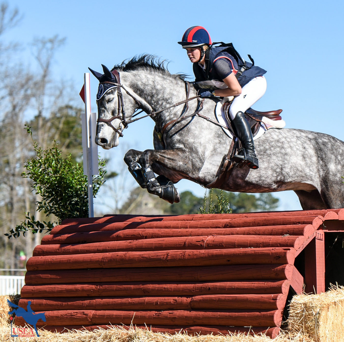 Yawn. This rolltop was so easy that Cooley Caviar jumped it with his eyes closed. USEA/Leslie Mintz Photo.