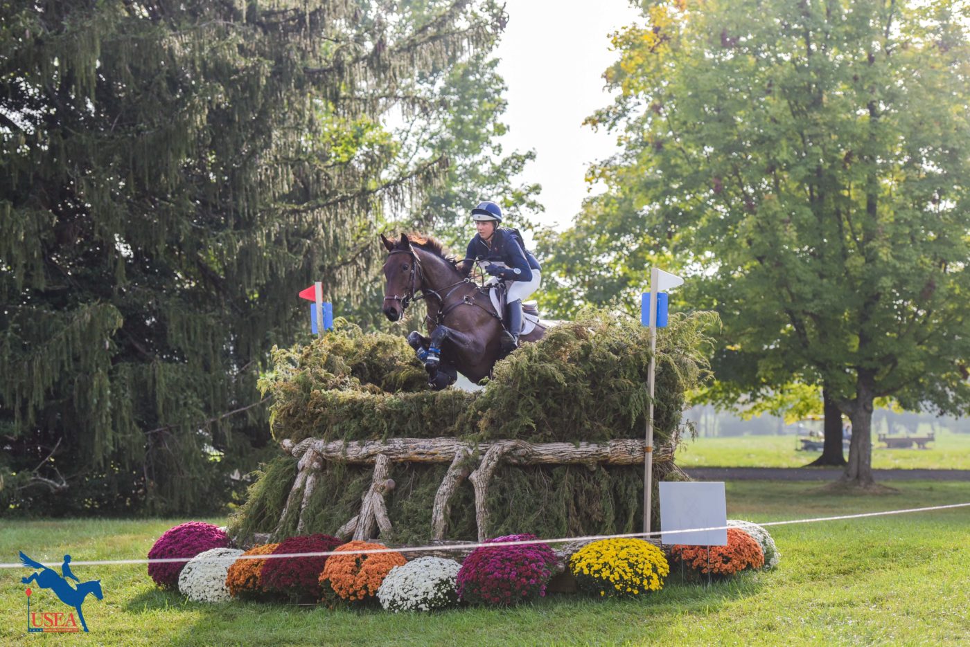 CCI4*-L - 8th - Isabelle Bosley & Night Quality
