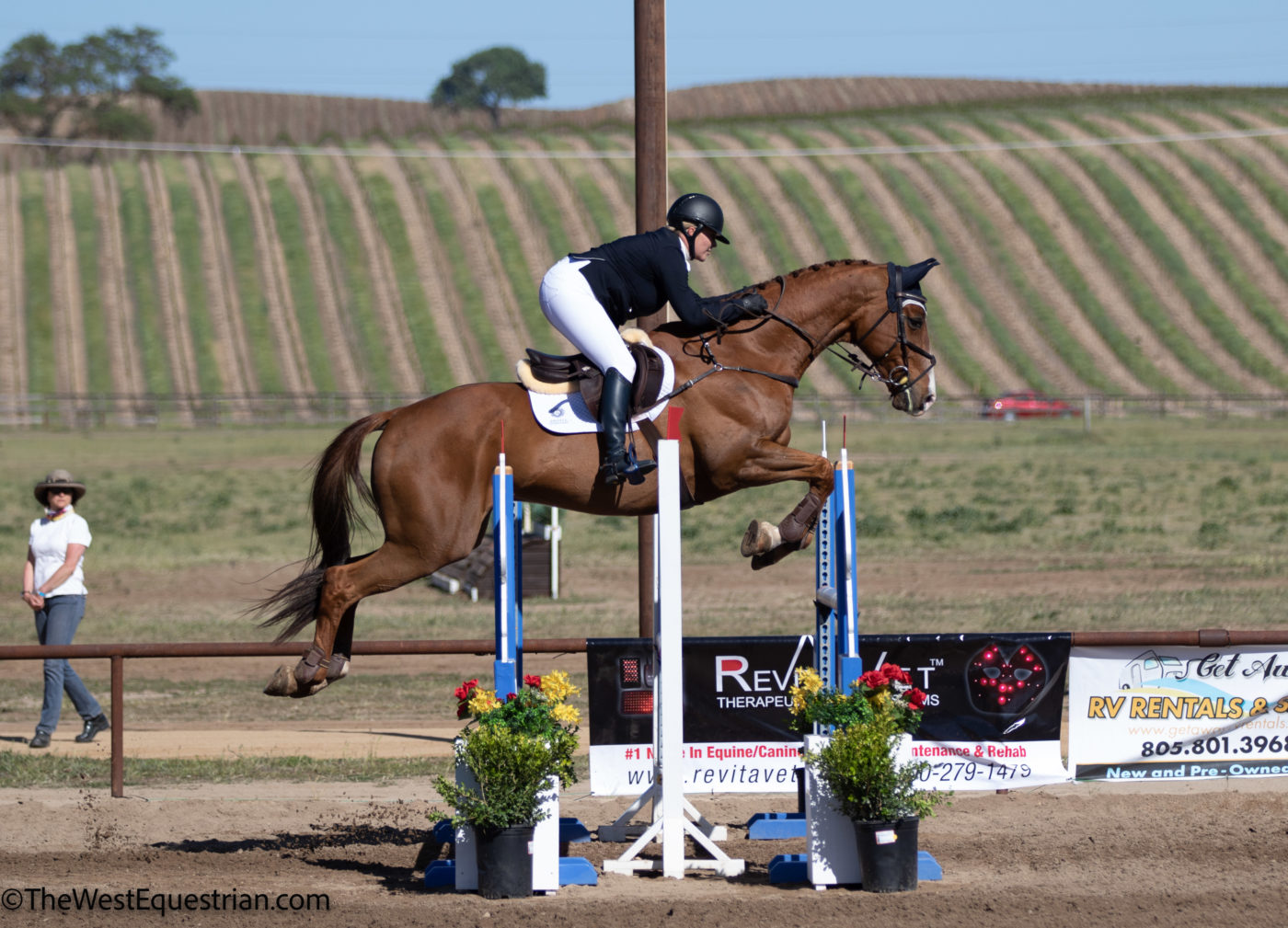 1st - CCI3*-S - Lauren Burnell and Counterpoint. TheWestEquestrian.com Photo.