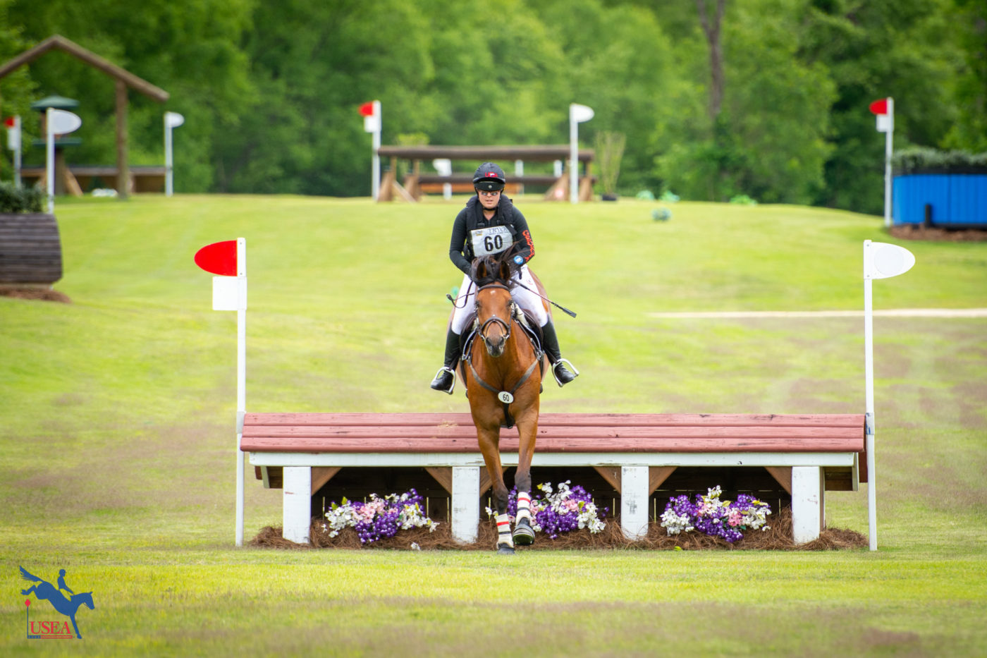 Lauren Meyers and SW Cooley Wineport rode for UGA. USEA/Shelby Allen photo