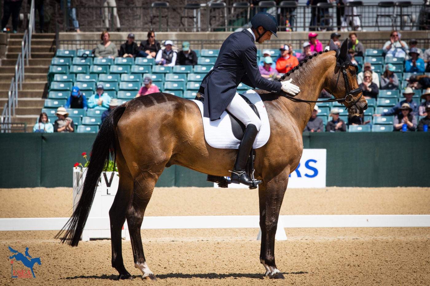 The 9th place spot after day one goes to Dondante and Will Coleman. USEA/ Meagan DeLisle photo