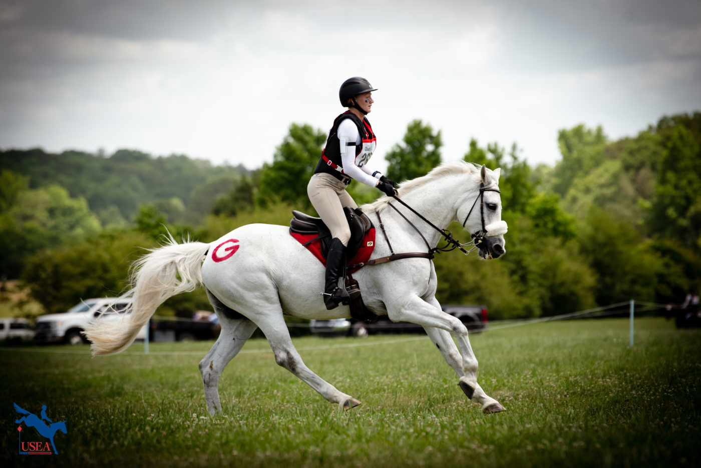 That UGA red really pops on a gorgeous gray. USEA/ Meagan DeLisle photo