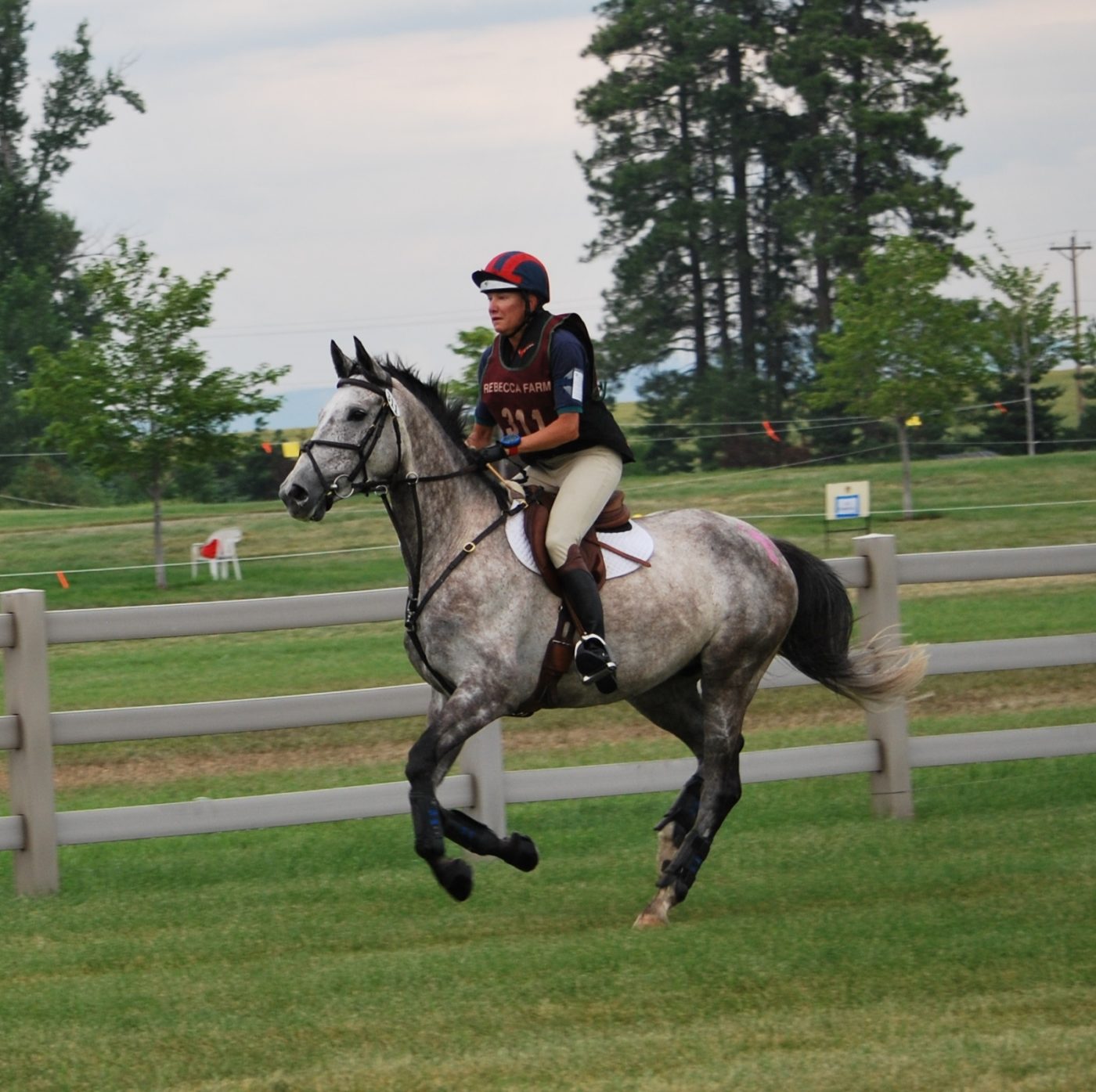 2012 Rebecca Farm: Novice Three-Day Steeplechase - USEA, United States ...