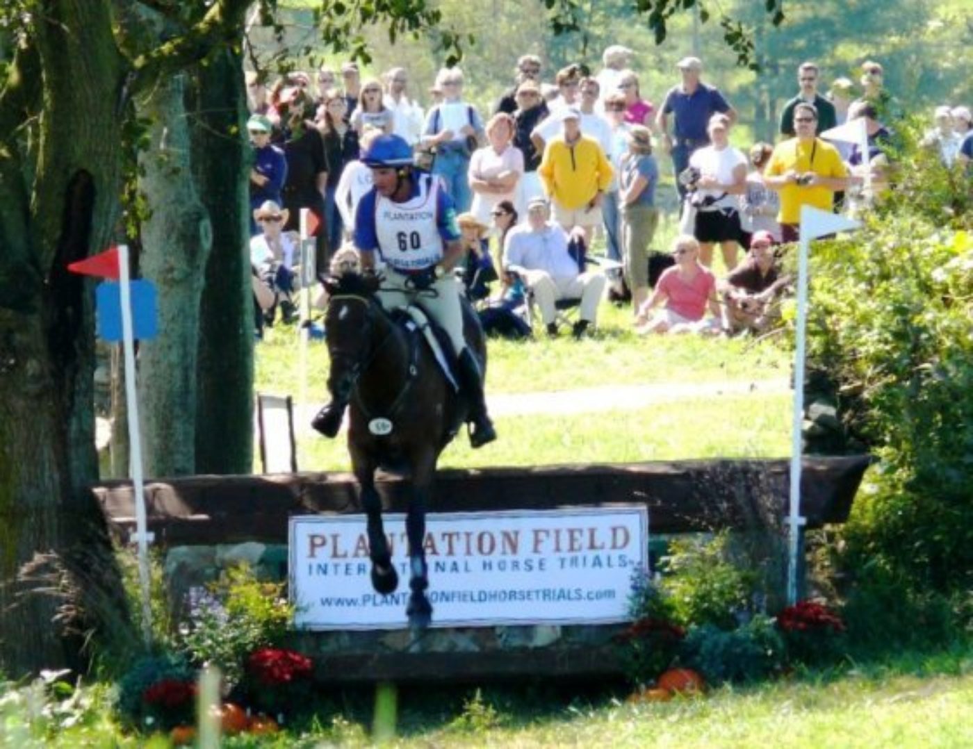 Plantation Field Celebrates Success of Second International CIC3* Horse