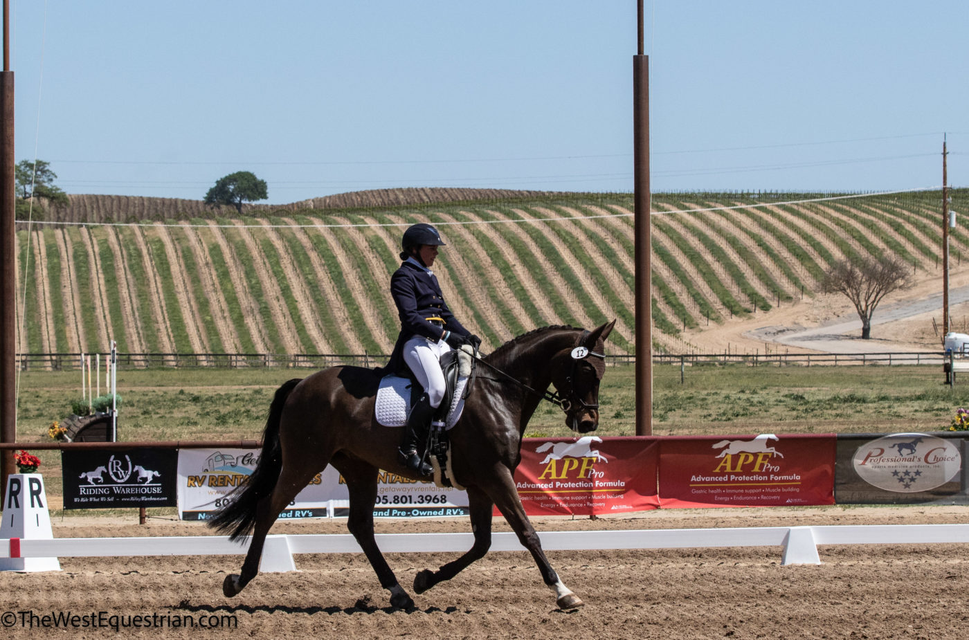 Sabrina Glaser and Cooley Mr. Murphy were in second after dressage in the CCI3*-S. TheWestEquestrian.com Photo.
